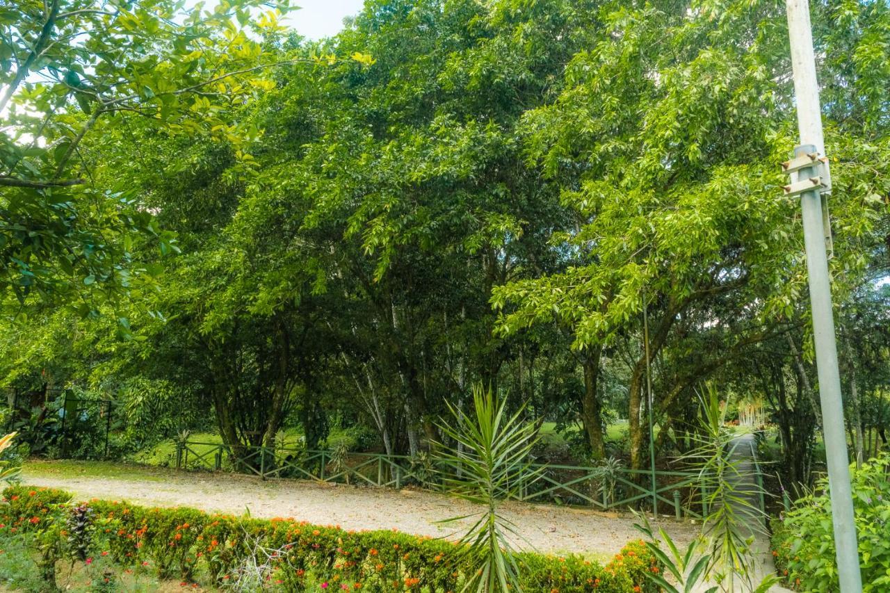 La Fortuna Natural Green מראה חיצוני תמונה